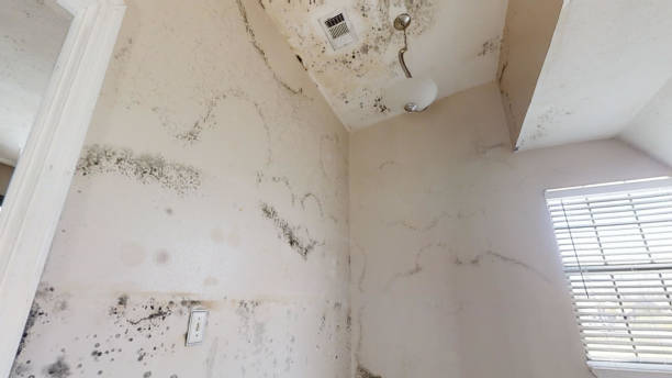 Best Indoor Air Quality Assessment  in Iselin, NJ
