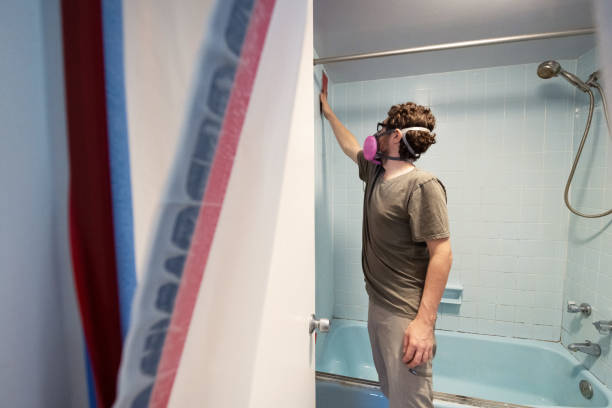 Reliable Iselin, NJ Mold Removal Solutions