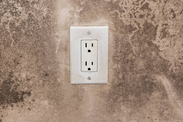 Best Mold Remediation for Vacation Homes  in Iselin, NJ