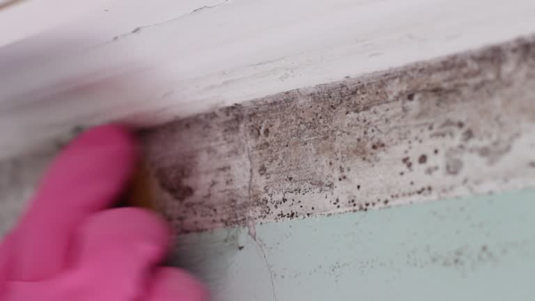 Best Air Quality Testing for Mold Spores  in Iselin, NJ